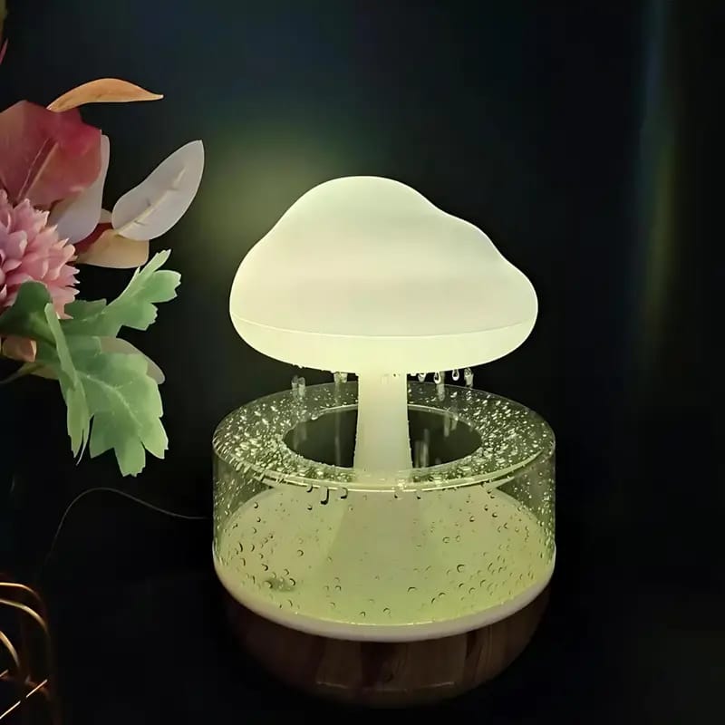Raindrop Humidifier